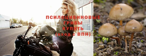 а пвп мука Вяземский