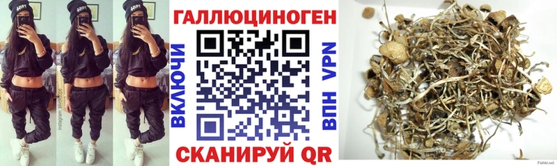 Псилоцибиновые грибы прущие грибы  Елабуга 